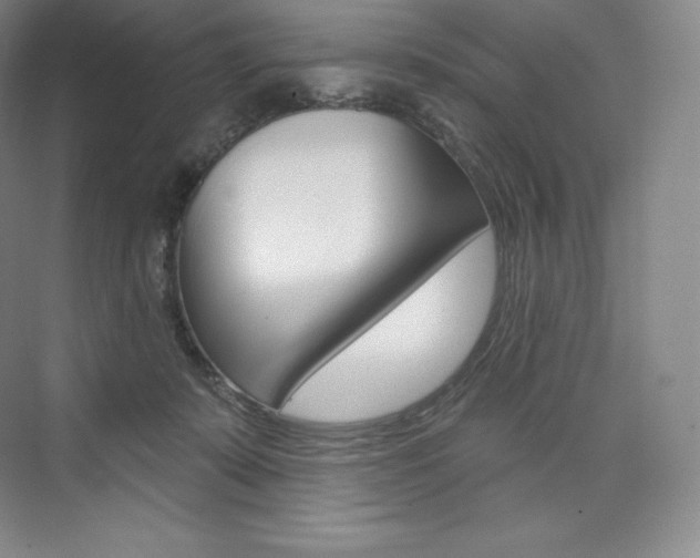 X0000073930319200608111032