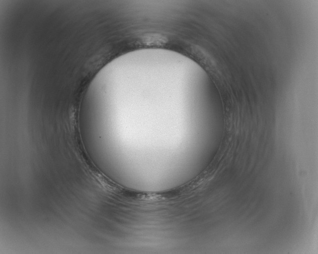 X0000073930321200608111032