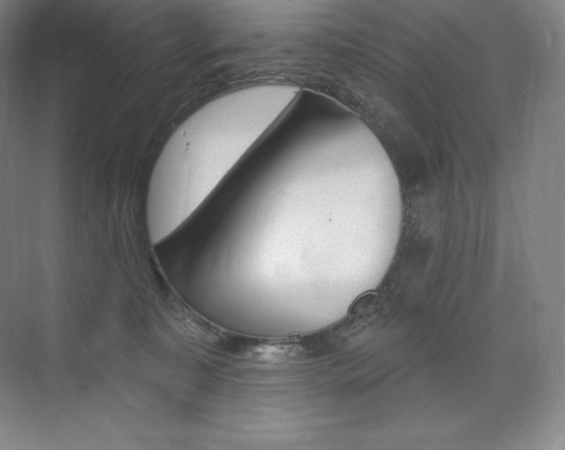 X0000073930323200608111032