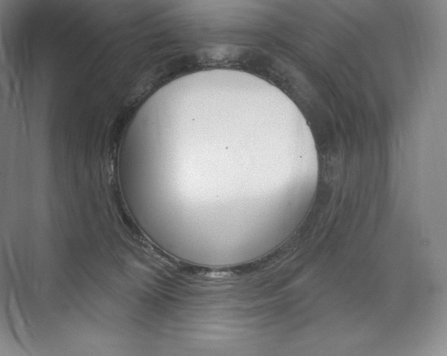 X0000073930324200608111032
