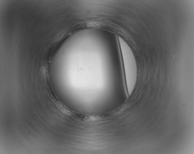 X0000073930329200608111032