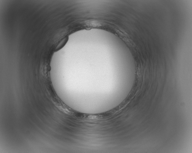 X0000073930330200608111032
