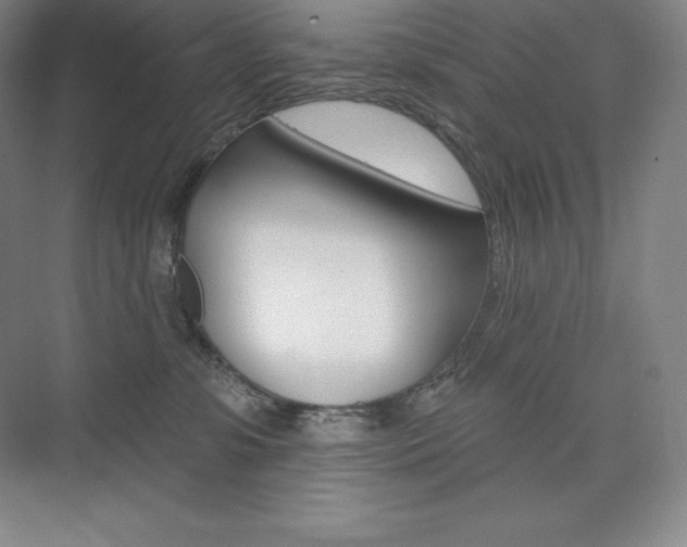 X0000073930331200608111032