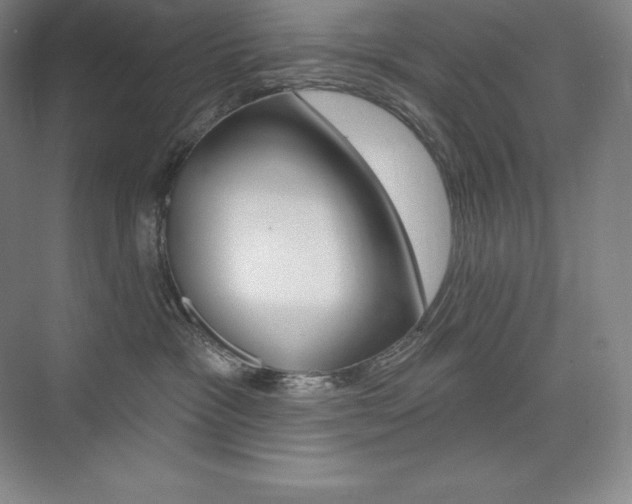 X0000073930333200608111032