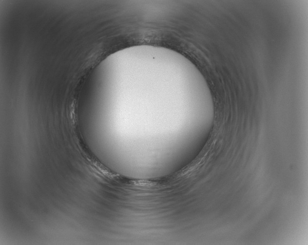 X0000073930336200608111032