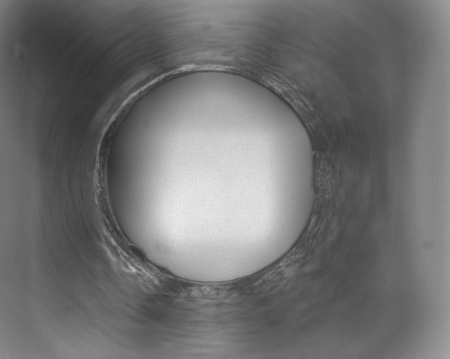 X0000073930338200608111031
