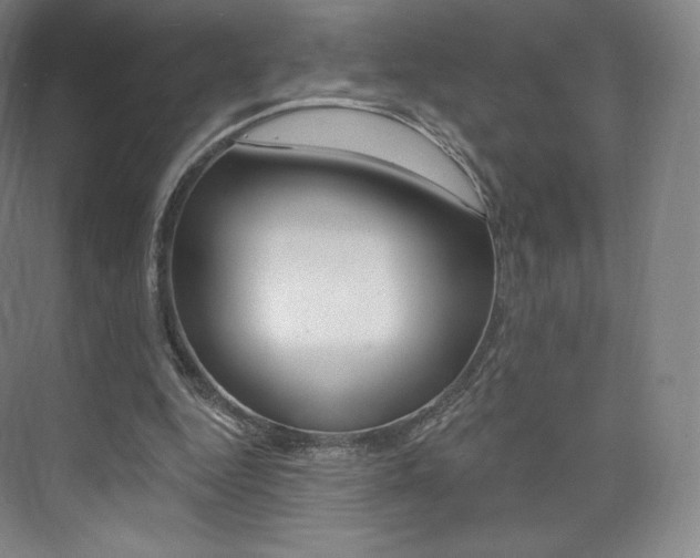 X0000073930344200608111031
