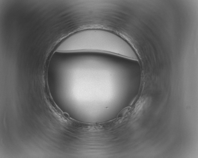X0000073930345200608111031