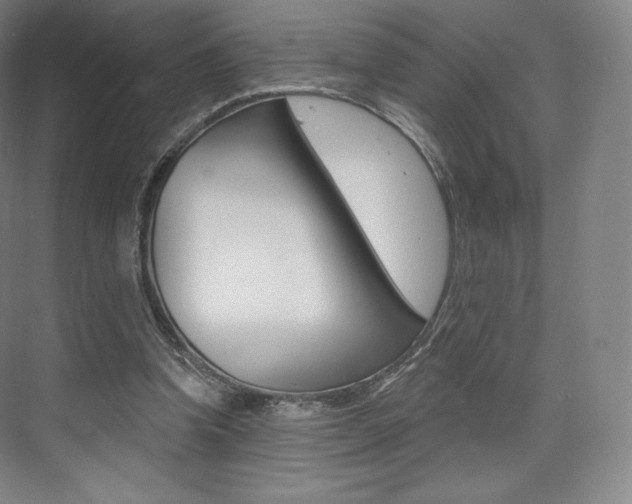 X0000073930346200608111031