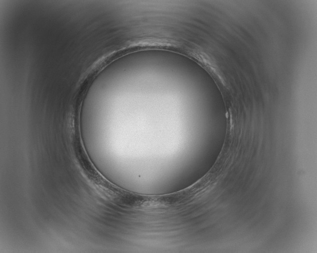 X0000073930348200608111031
