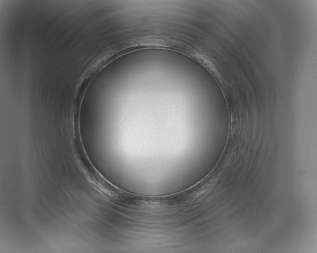 X0000073930349200608111031