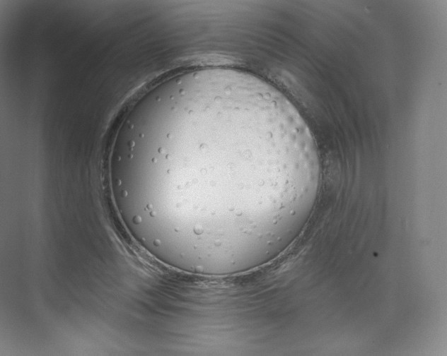 X0000073930351200608111031