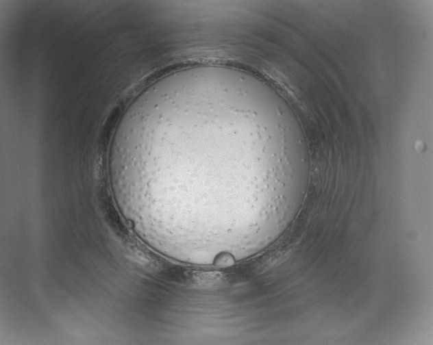 X0000073930355200608111031