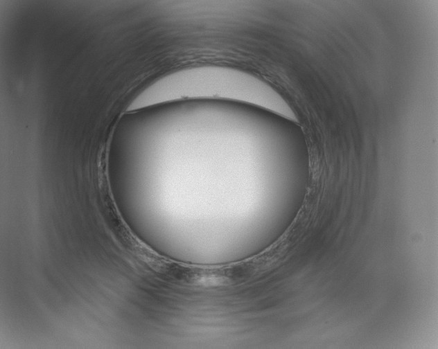 X0000073930360200608111032