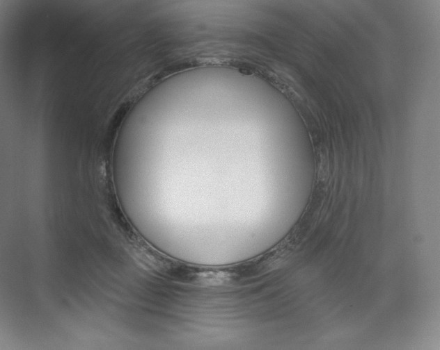 X0000073930363200608111032