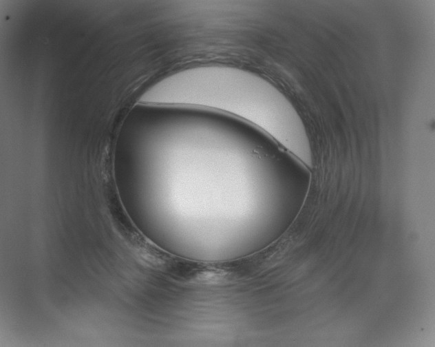X0000073930364200608111032
