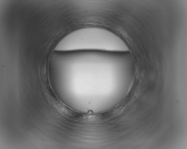 X0000073930365200608111032