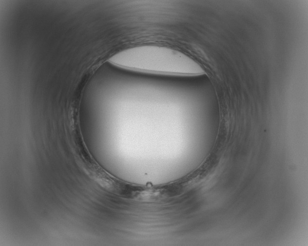 X0000073930366200608111032