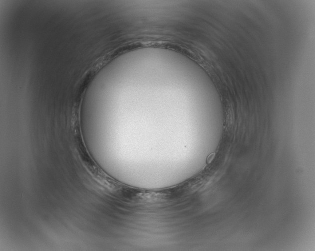 X0000073930367200608111032