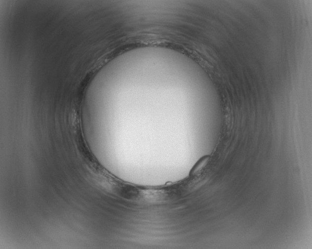 X0000073930371200608111032
