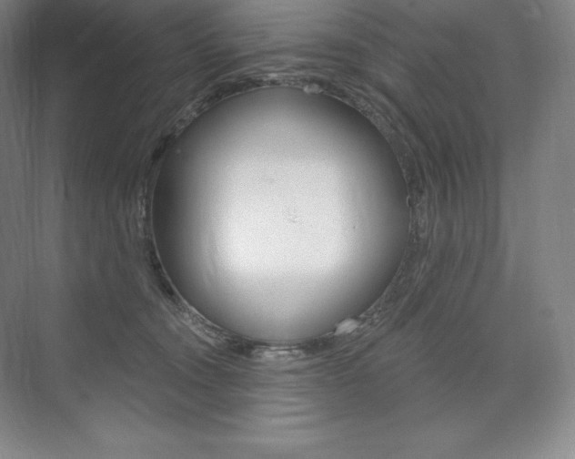 X0000073930372200608111032