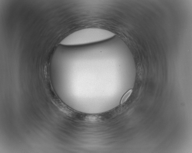 X0000073930375200608111032