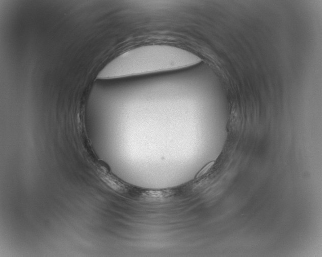 X0000073930381200608111032