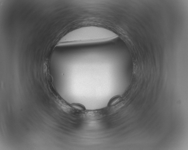 X0000073930382200608111032