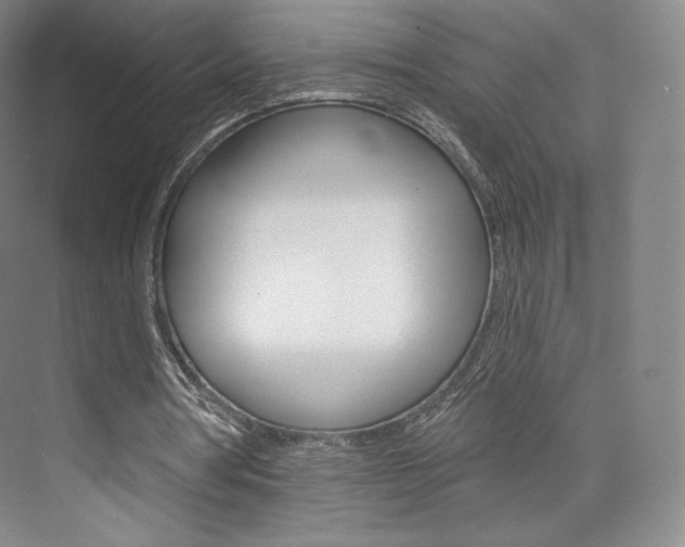 X0000073930386200608111031