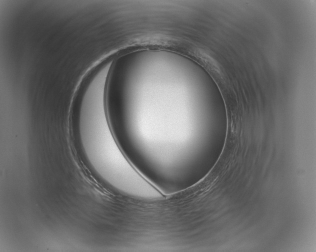 X0000073930388200608111031