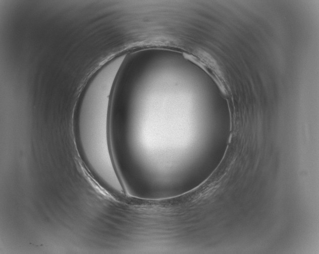 X0000073930389200608111031