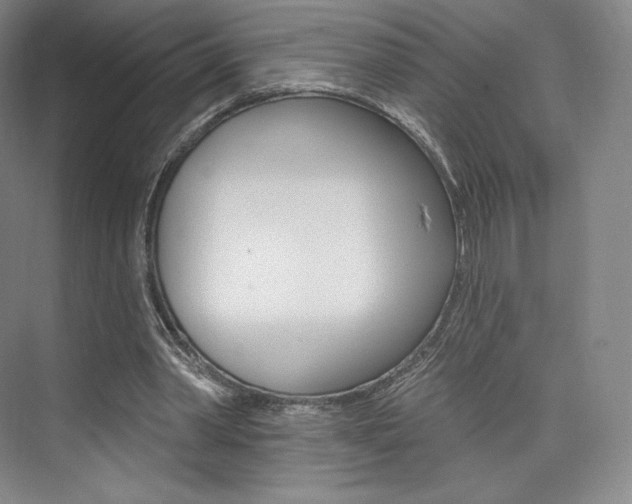X0000073930390200608111031
