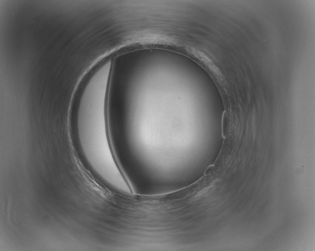 X0000073930391200608111031