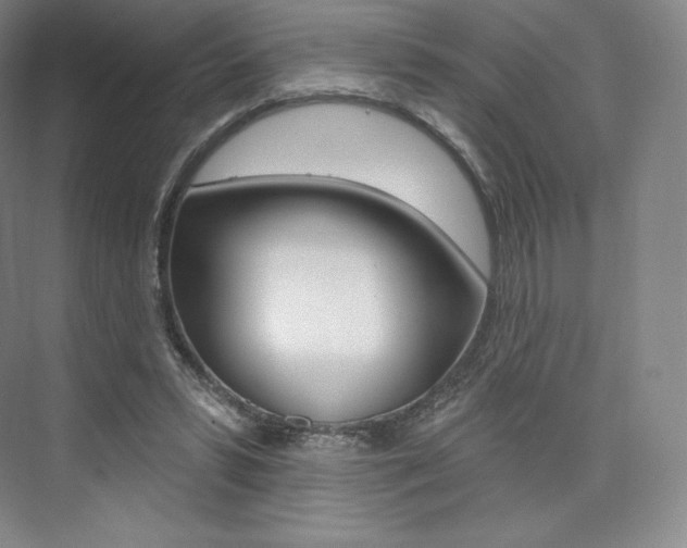 X0000073930399200608111031