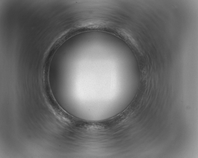X0000073930400200608111031