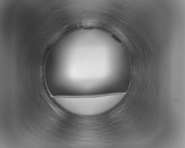 X0000073930401200608111031
