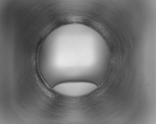 X0000073930402200608111031