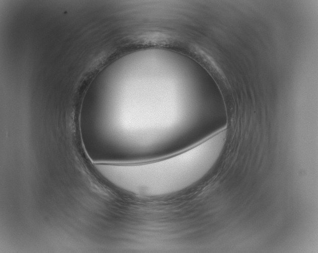 X0000073930403200608111031