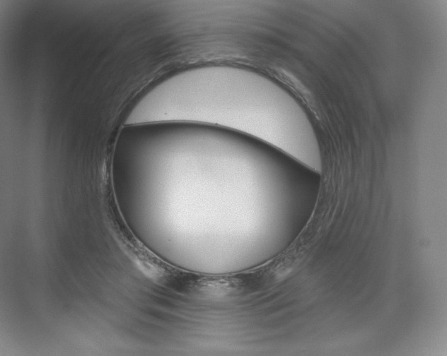 X0000073930405200608111031