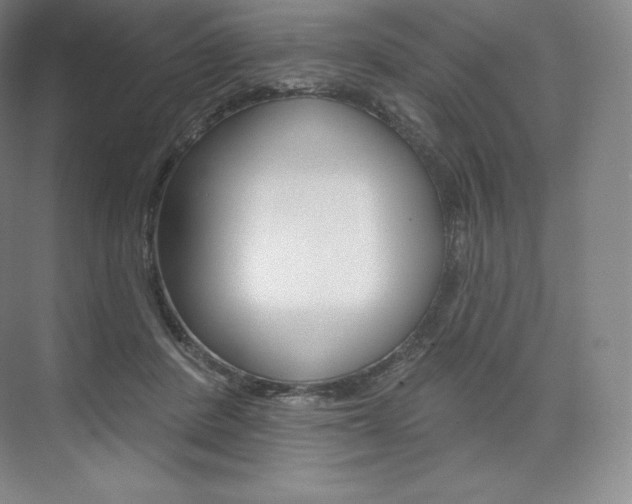 X0000073930408200608111031