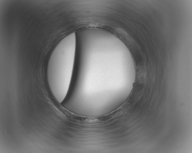 X0000073930410200608111031