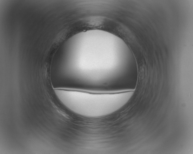 X0000073930412200608111031