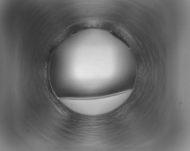 X0000073930413200608111031
