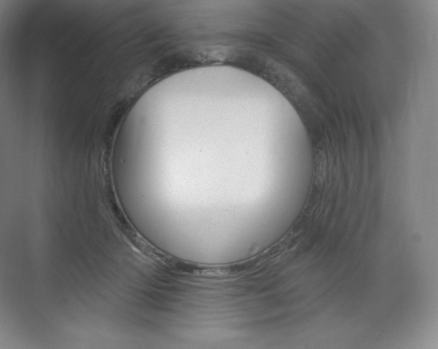 X0000073930414200608111031