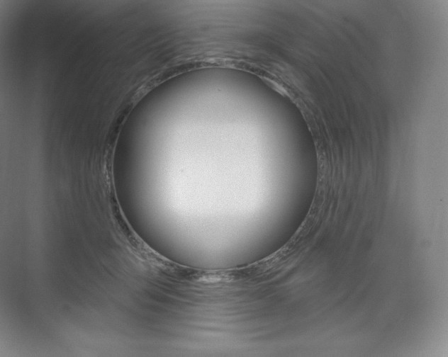 X0000073930415200608111031