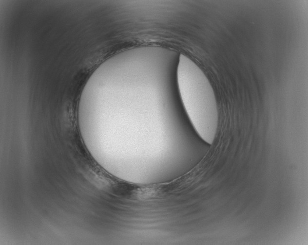 X0000073930418200608111031