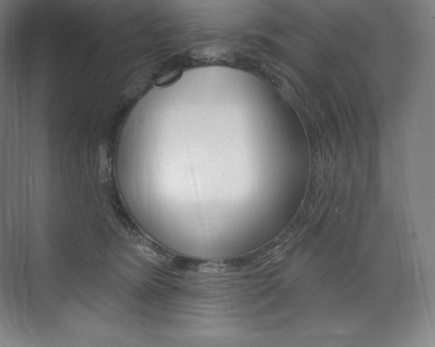 X0000073930420200608111031