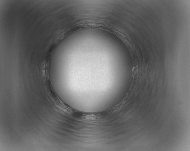 X0000073930423200608111030