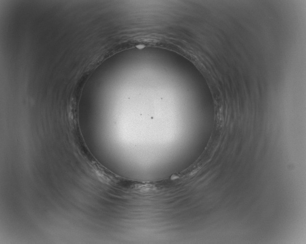 X0000073930424200608111030