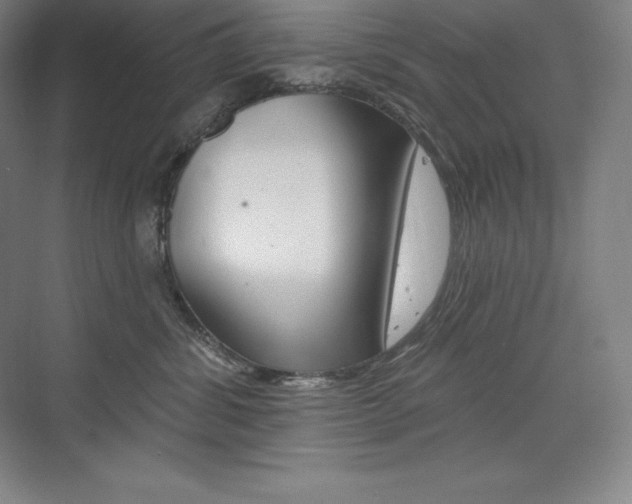 X0000073930428200608111030